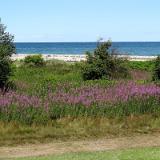 1307G 138 Fehmarn Nordstrand